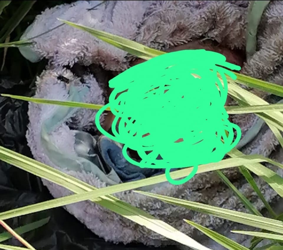 Shock as newborn baby boy’s body found decomposing in Drieziek 4