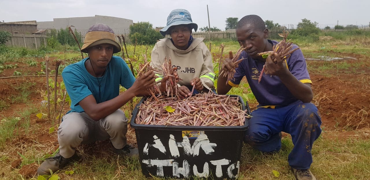 Esididini Community Project sows the seeds of transformation