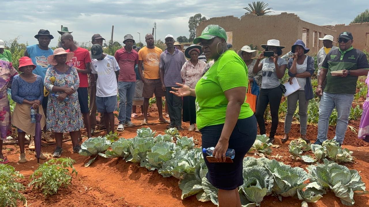 ActionSA empowers farmers in Drieziek 4 with seedling distribution