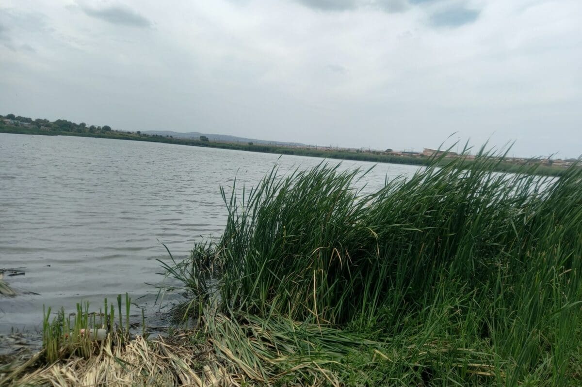 Body of unidentified male discovered in Lakeside Ext 1 dam