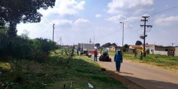 City Parks cleans up overgrown Parks and Roads