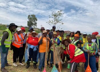 Drieziek 4 community cleans park to curb crime