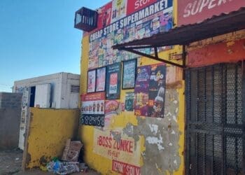 City shuts non-compliant spaza shops in Drieziek