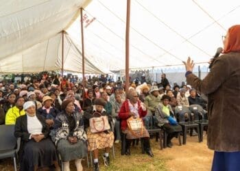 Regenesys launches wellness hub  in Drieziek to improve healthcare access