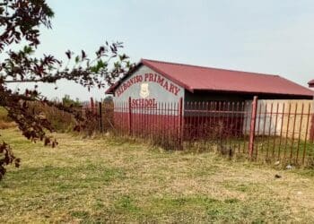 Johannesburg City Parks and Zoo continues Autumn park clean-up programme across Region G
