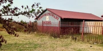 Johannesburg City Parks and Zoo continues Autumn park clean-up programme across Region G
